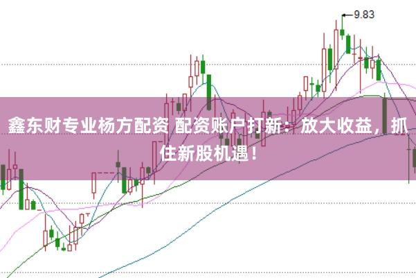 鑫东财专业杨方配资 配资账户打新：放大收益，抓住新股机遇！