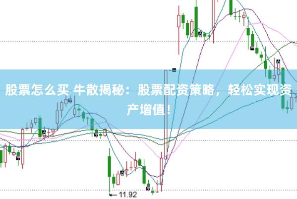 股票怎么买 牛散揭秘：股票配资策略，轻松实现资产增值！