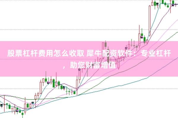 股票杠杆费用怎么收取 犀牛配资软件：专业杠杆，助您财富增值