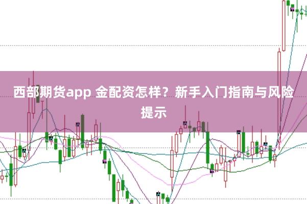 西部期货app 金配资怎样？新手入门指南与风险提示
