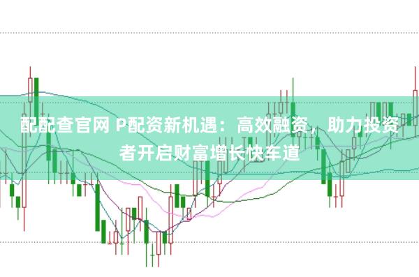 配配查官网 P配资新机遇：高效融资，助力投资者开启财富增长快车道