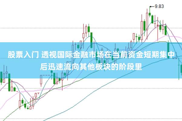 股票入门 透视国际金融市场在当前资金短期集中后迅速流向其他板块的阶段里