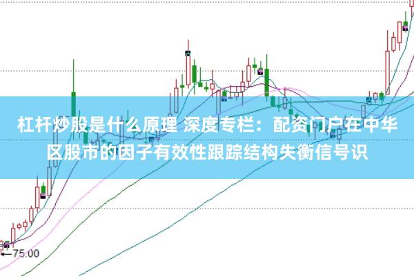杠杆炒股是什么原理 深度专栏：配资门户在中华区股市的因子有效性跟踪结构失衡信号识