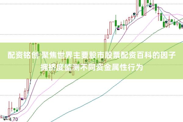 配资铭创 聚焦世界主要股市股票配资百科的因子拥挤度监测不同资金属性行为