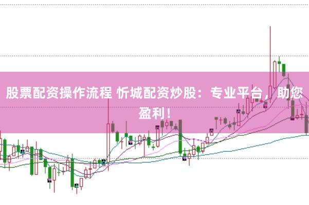 股票配资操作流程 忻城配资炒股：专业平台，助您盈利！