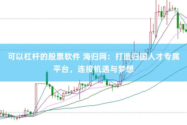 可以杠杆的股票软件 海归网：打造归国人才专属平台，连接机遇与梦想