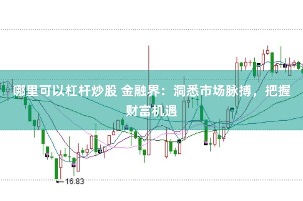 哪里可以杠杆炒股 金融界：洞悉市场脉搏，把握财富机遇