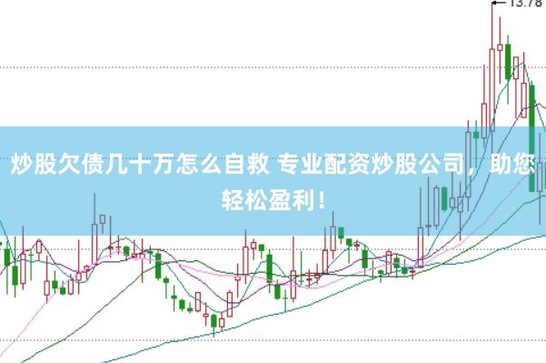 炒股欠债几十万怎么自救 专业配资炒股公司，助您轻松盈利！