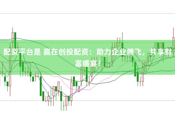 配资平台是 赢在创投配资：助力企业腾飞，共享财富盛宴！