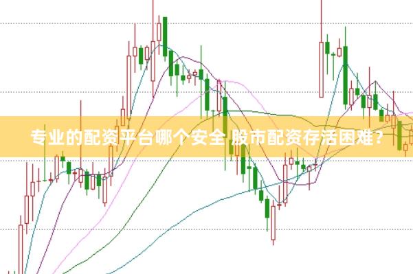 专业的配资平台哪个安全 股市配资存活困难？